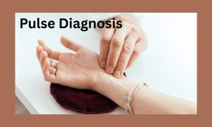 Pulse Diagnosis